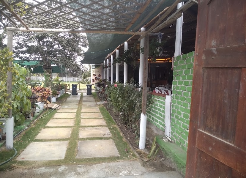 Manos Piuranas Photos 2